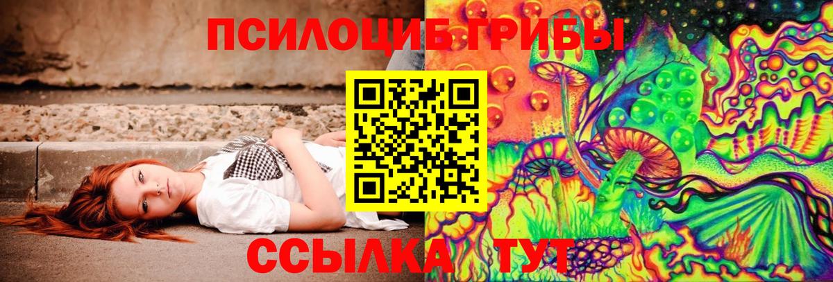 Саянск  Псилоцибиновые грибы прущие грибы  Вход с VPN 